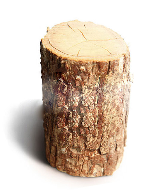 Ekološka neoporečna gradnja